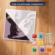 Diamond Painting Pokémon Le Duo Yin Yang – kit prêt à commencer