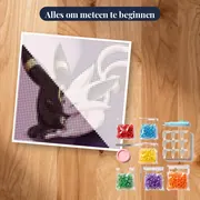 Diamond Painting Pokémon Het Yin Yang Duo – pakket klaar om te beginnen