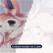 Diamond Painting Pokémon De Zoete Droom van Sylveon – close-up van de steentjes