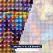 Le Tourbillon de Couleurs – gros plan des diamants