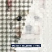 Le Petit Cœur Blanc – gros plan des diamants