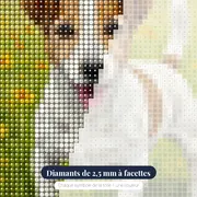 Le Bonheur est dans le Pré – gros plan des diamants