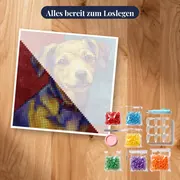 Hund: Der vierbeinige Künstler – Set bereit zum Loslegen