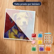 Dog: l'artista a quattro zampe – kit pronto per iniziare