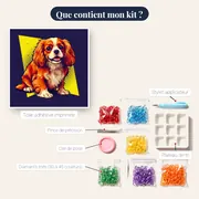 Cavalier L'Icône Pop – contenu du kit