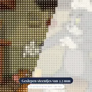 Tom de Kok vs Jerry – close-up van de steentjes