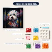 Bichon Maltais Aquarelle – contenu du kit