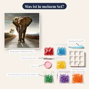 Elefant auf der Sonnenstraße – Inhalt des Sets
