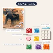 Elephant, Colossus of the Savannah – kit contents