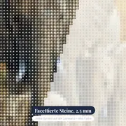 3 Elefanten Savanne – Nahaufnahme der Steine