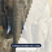 3 Olifanten Savannah – close-up van de steentjes