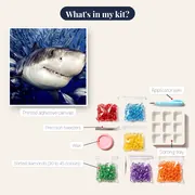 Great White Shark – kit contents