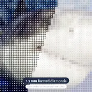 Great White Shark – diamond close-up