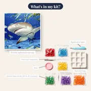 Shark and School of Fish – kit contents