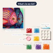 Colorful Discus Fish Duo – kit contents