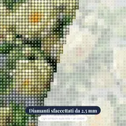 Flowers: Il bouquet di rose bianche – primo piano dei diamanti