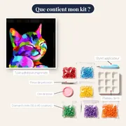 Pop Art Félin – contenu du kit