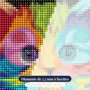 Le Portrait Pop – gros plan des diamants