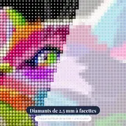Le Regard Pop – gros plan des diamants