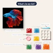 Blue and Red Fighting Fish – kit contents