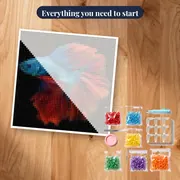 Blue and Red Fighting Fish – kit ready to start