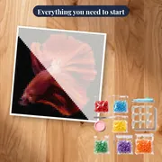 Intense Red Fighting Fish – kit ready to start