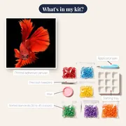 Blazing Fighting Fish – kit contents