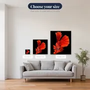 Blazing Fighting Fish – available sizes