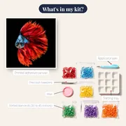 Red and Blue Fighting Fish – kit contents