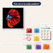 Rode en Blauwe Vechtende Vissen – inhoud van het pakket