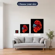 Red and Blue Fighting Fish – available sizes