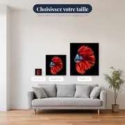 Poisson Combattant Rouge et Bleu – tailles disponibles