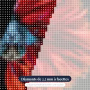 Poisson Combattant Rouge et Bleu – gros plan des diamants
