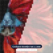 Rode en Blauwe Vechtende Vissen – close-up van de steentjes