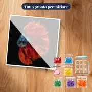 Pesce combattente rosso e blu – kit pronto per iniziare