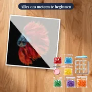 Rode en Blauwe Vechtende Vissen – pakket klaar om te beginnen