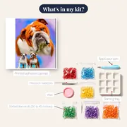 Brown and White Bulldog – kit contents