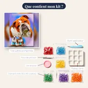 Bulldog Blanc Et Marron – contenu du kit