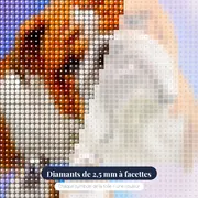 Bulldog Blanc Et Marron – gros plan des diamants