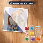Bruin-Witte Bulldog – pakket klaar om te beginnen