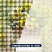 Nadia Flowers on a Chair – primo piano dei diamanti