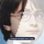 De Magie van Zweinstein – close-up van de steentjes