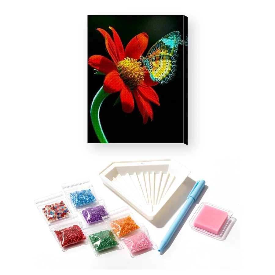 Butterfly: Radiance on a Red Flower