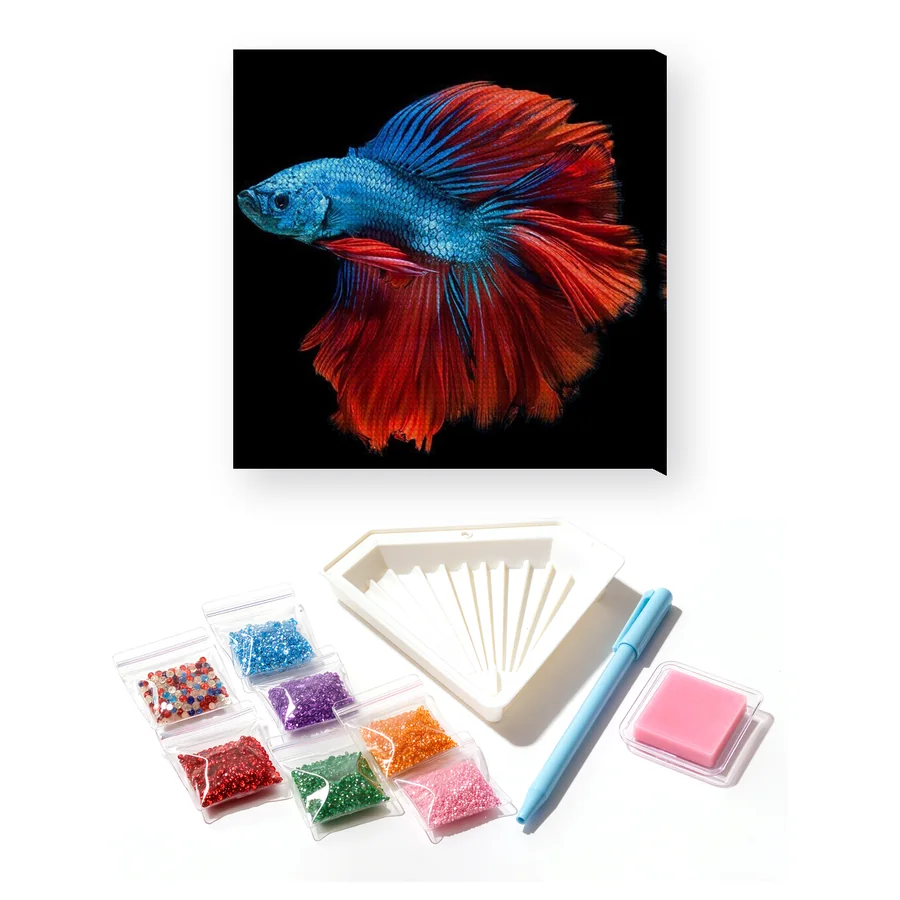 Blue and Red Fighting Fish