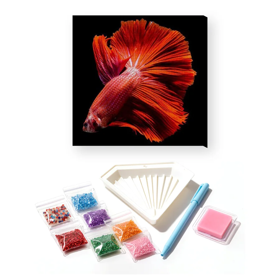 Intense Red Fighting Fish