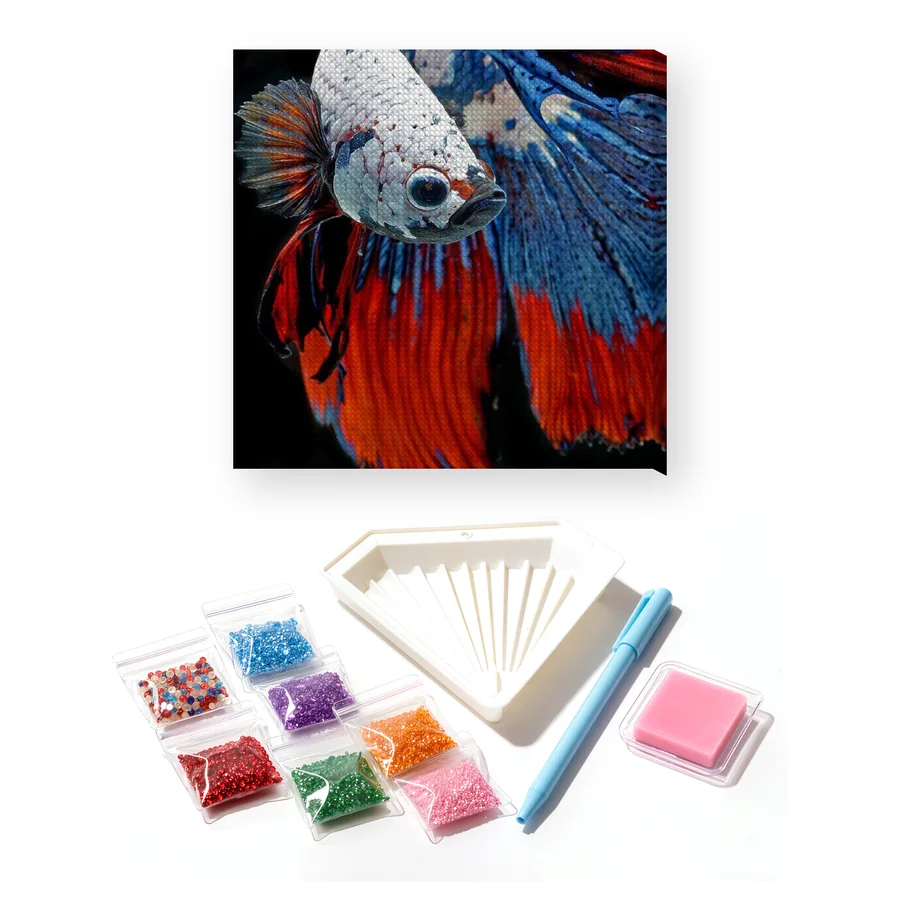 Tricolor Fighting Fish