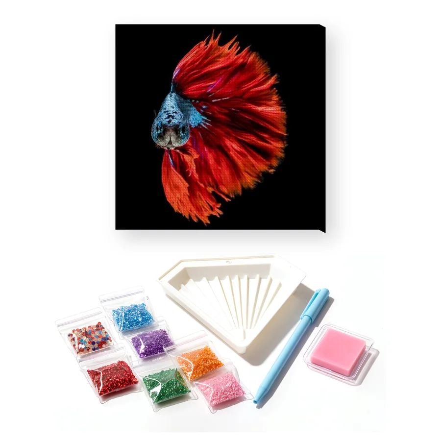 Pesce combattente rosso e blu
