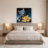 Trois Chatons Étoilés – Chambre