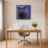 British Shorthair aux Yeux d'Ambre – Bureau