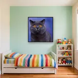 British Shorthair aux Yeux d'Ambre – Enfant